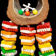 Load image into Gallery viewer, Made with a natural coconut shell and husk ring with lots of notched pine slices knotted on cotton cord.  A great toy for beaks that don&#39;t like hard wood as the coconut husk is easy to shred and the pine slices with the notches are easy to chip away at! Toy hangs from nickel plated chain.  Measures approx 6&quot; by 17&quot; including link.
