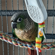 Load image into Gallery viewer, Beaker Sneaker Bird Toy
