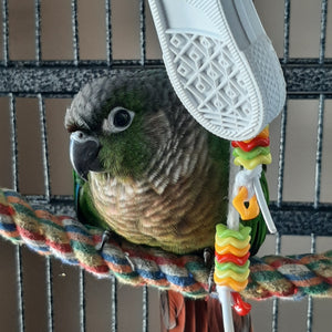 Beaker Sneaker Bird Toy